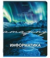 Тетрадь предметная 48л А5 клетка Информатика Классика природы BRAUBERG 10/80