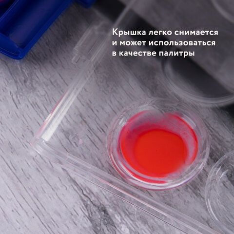 Краски акварельные 16цв круглые кюветы 23 мм пенал BRAUBERG PREMIUM 12/144