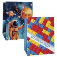 Пакет подарочный бумажный (26х32х13) Микc № 2муж 1/240