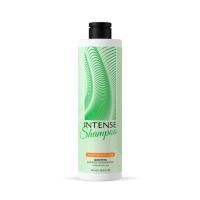 Шампунь INTENSE 500мл укрепляющий (для всех типов волос) Clean&Green 1/12