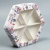 Менажница картон 23х4см For you 1/5/425