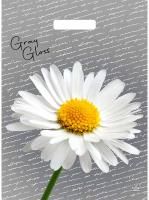 Пакет с вырубной ручкой (31,5х43)-50 Грэй Глосс Ромашка Тико 50/500