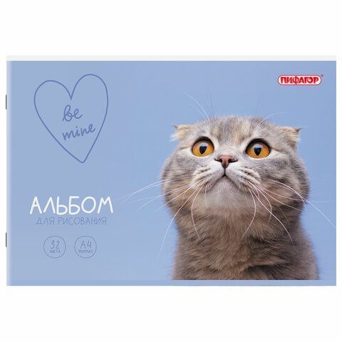 Альбом для рисования 32л А4  скоба обложка картон ПИФАГОР 203х288мм МИКС-1 1/8/40