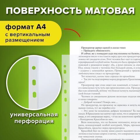 Перфофайлы А4 25 мкм матовые STAFF ЭКОНОМ 1/30