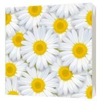 Салфетки (33х33) 3-сл Ромашки (20) 1/15 Салфетки (33х33) 3-сл Ромашки (20) 1/15