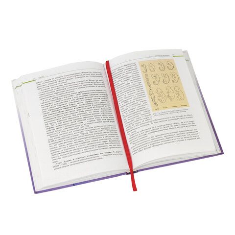 Закладки-ляссе РАДУГА для книг А5 (длина 28 см) ПИФАГОР, клейкий край, 4 ленты, 111648 Закладки-ляссе РАДУГА для книг А5 (длина 28 см) ПИФАГОР, клейкий край, 4 ленты, 111648