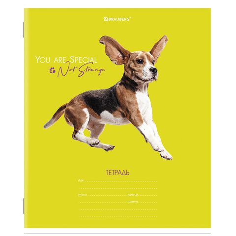 Тетрадь 18л линия обложка картон СОБАЧКИ BRAUBERG 1/20/200