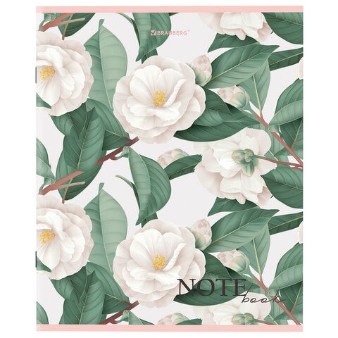 Тетрадь 96л А5 клетка скоба BRAUBERG 1/5/50