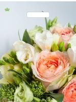 Пакет с вырубной ручкой (31х40)-60 Романтическое настроение ламинат Тико 50/500