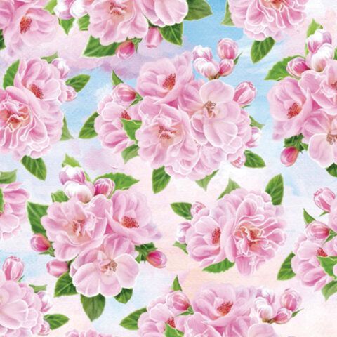 Бумага подарочная 70х100см Золотая Сказка Compliments,ассор. 5 дизайнов, мелов.70г/м2 1/50