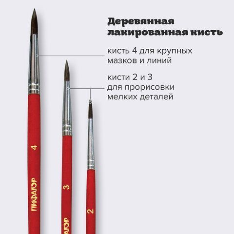 Кисти 3шт пони круглая № 2,3,4 Школьник ПИФАГОР 1/12/288